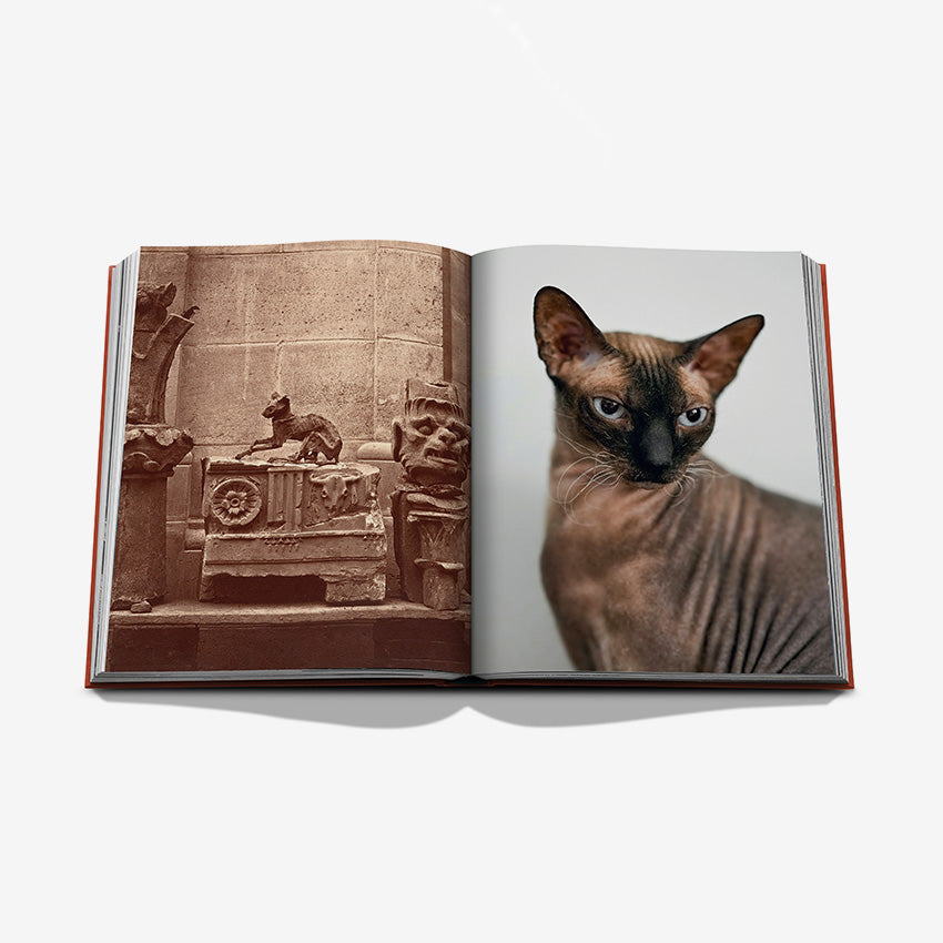 Assouline | Chic Cats