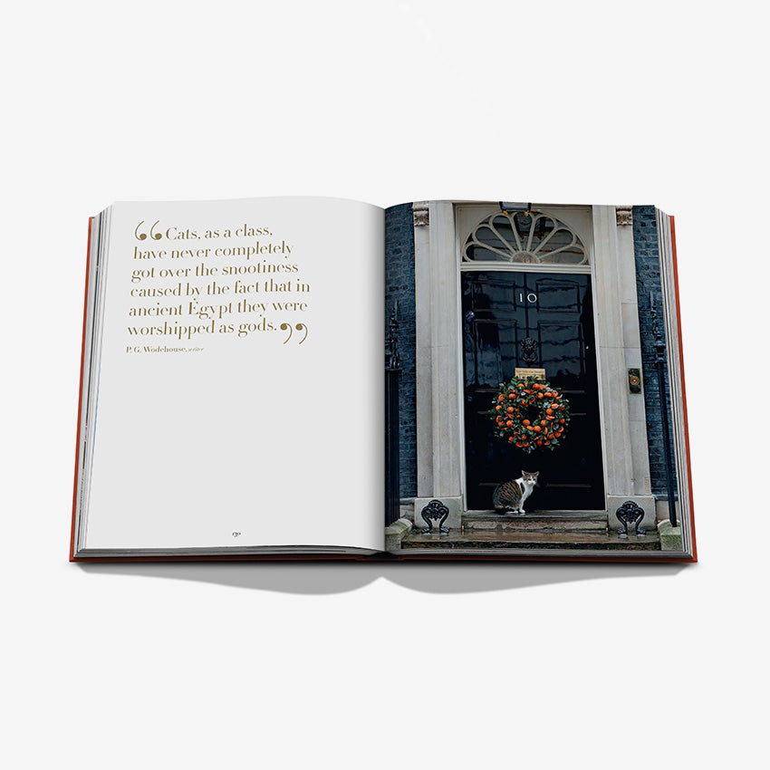 Assouline | Chic Cats