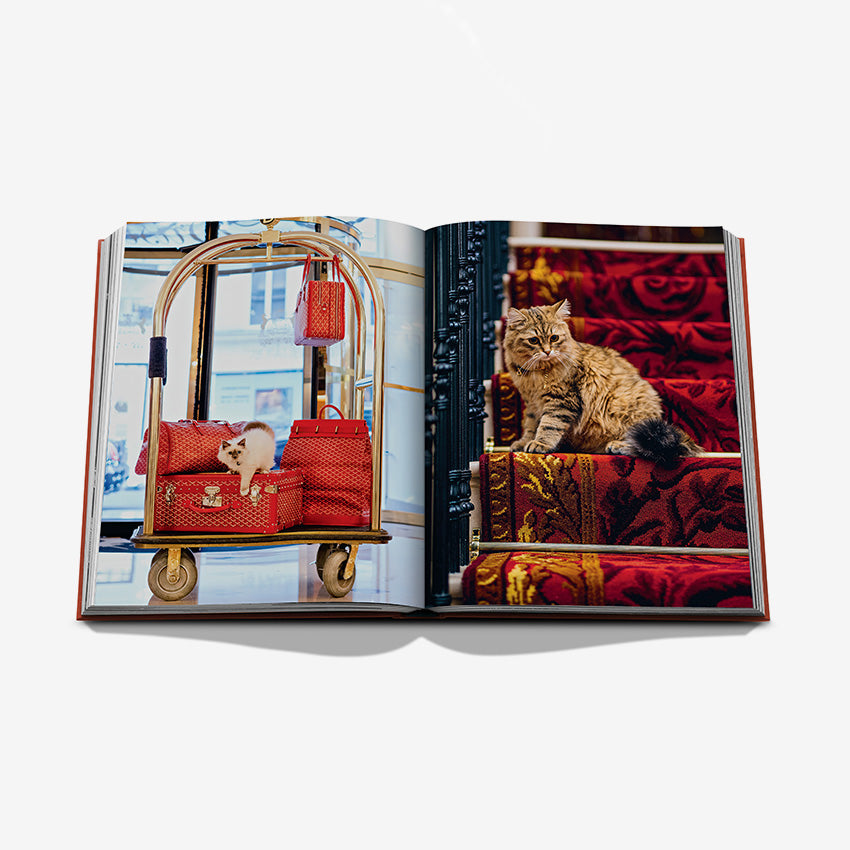 Assouline | Chic Cats