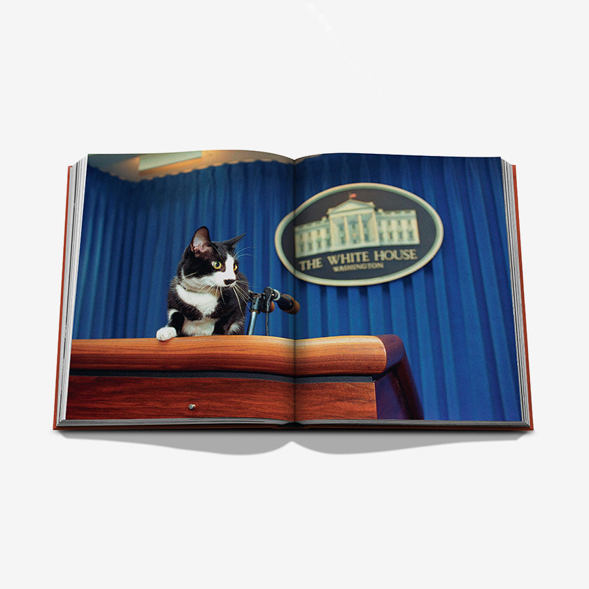 Assouline | Chic Cats