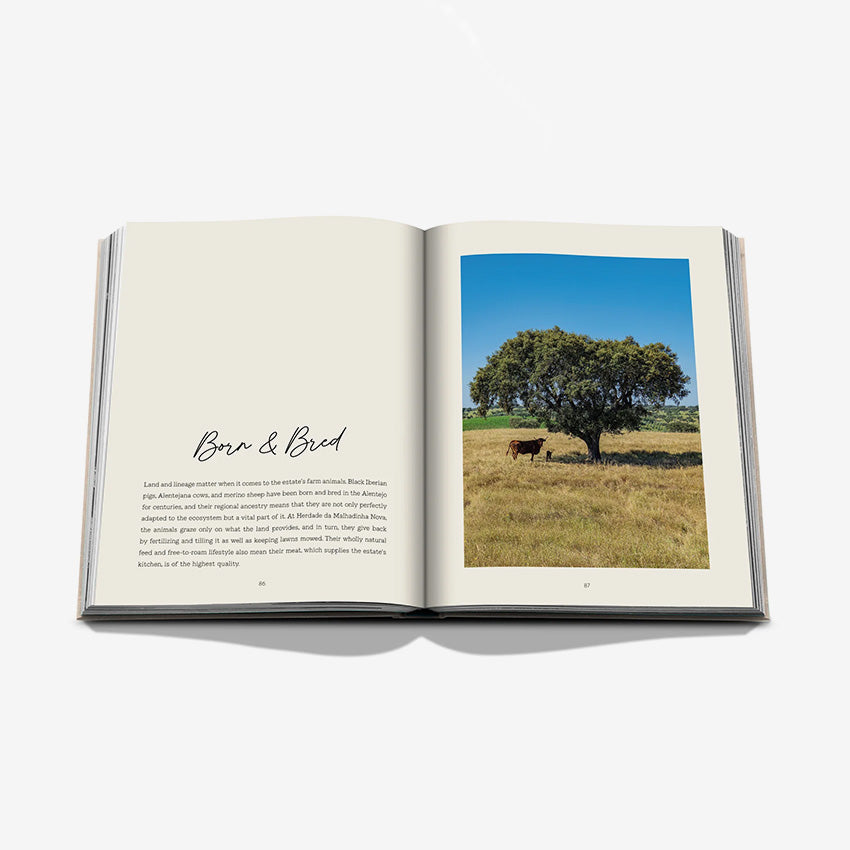 Assouline | Malhadinha: The Soul of Alentejo