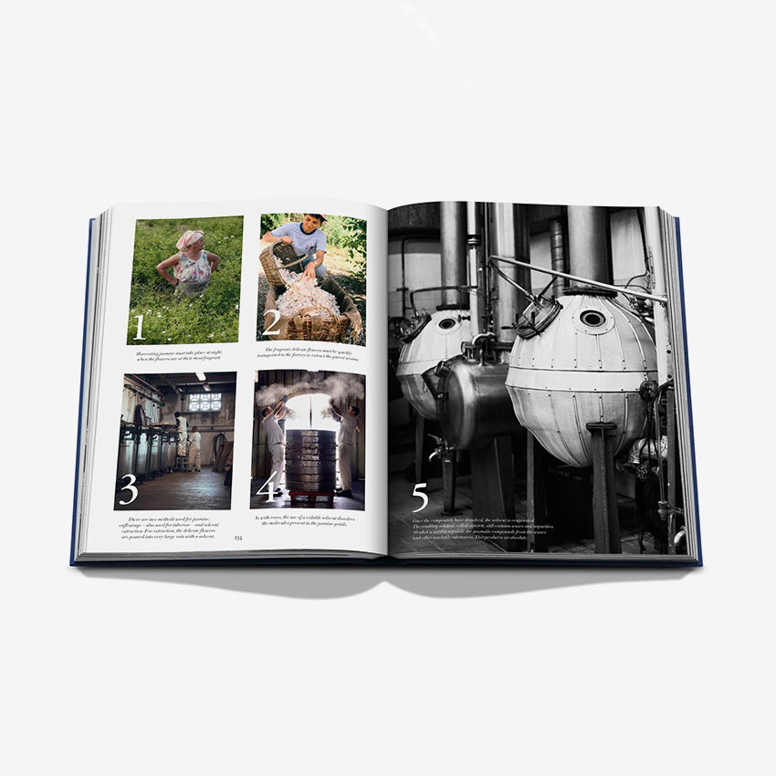 Assouline | Robertet