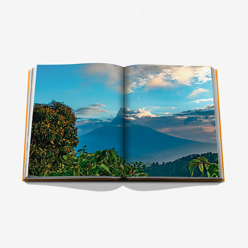 Assouline | Ron Zacapa from Guatemala
