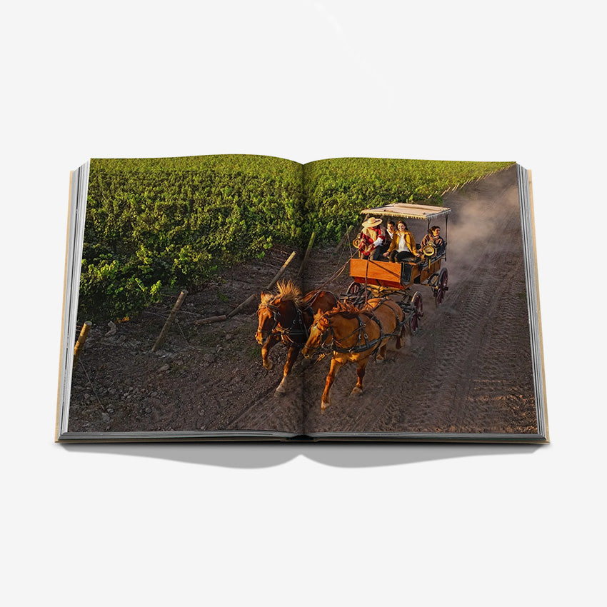 Assouline | Wine & Travel Latin America
