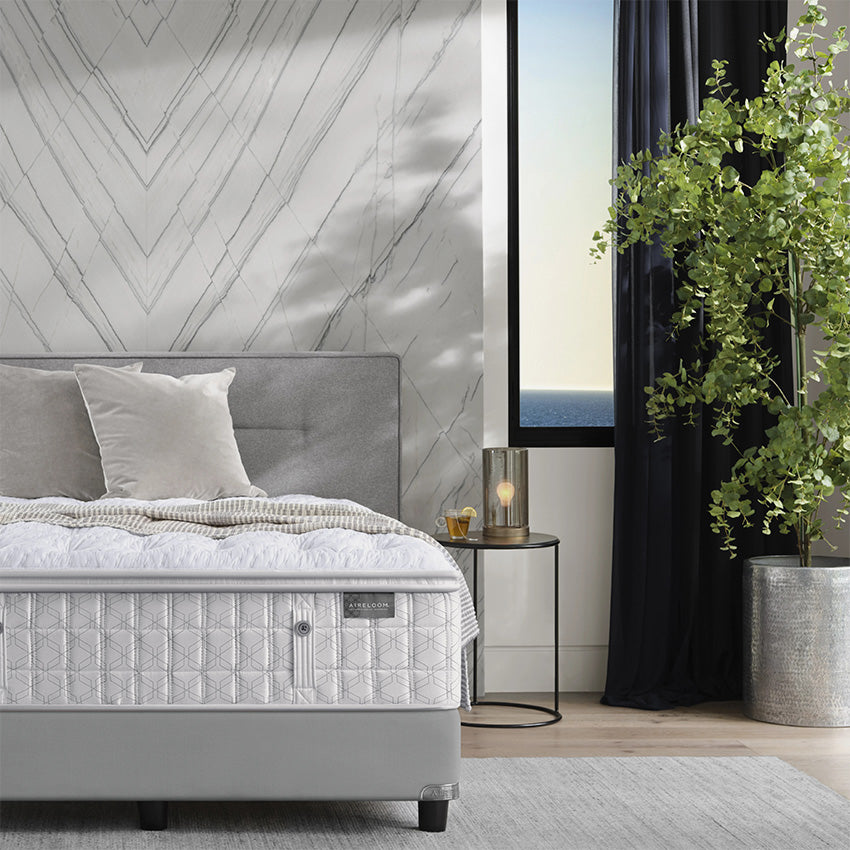 Aireloom | Preferred Collection - Streamline - M1 Plush Mattress
