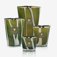 Baobab Collection | Candle Woods Sherwood