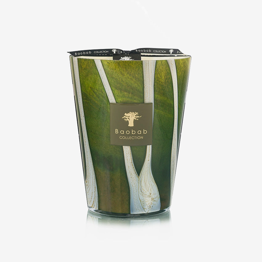 Baobab Collection | Candle Woods Sherwood