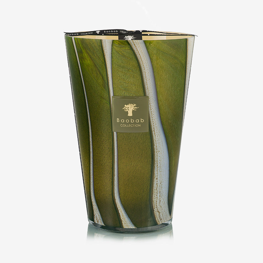 Baobab Collection | Candle Woods Sherwood