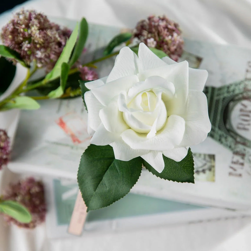 Côte Noire | French Rose