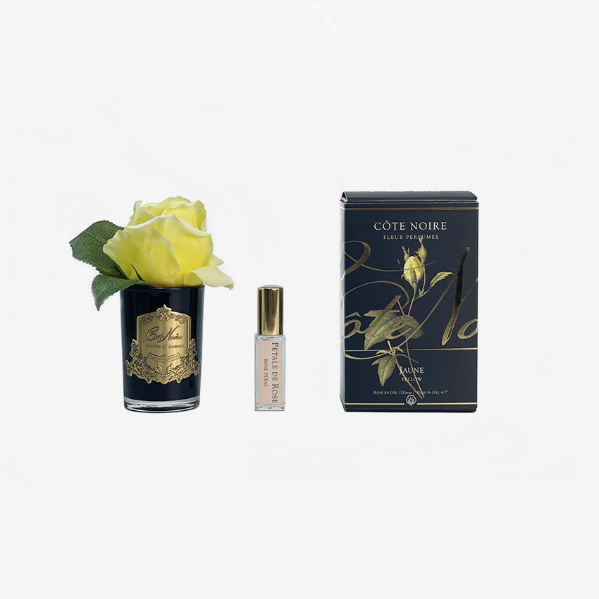 Côte Noire | Rose Bud