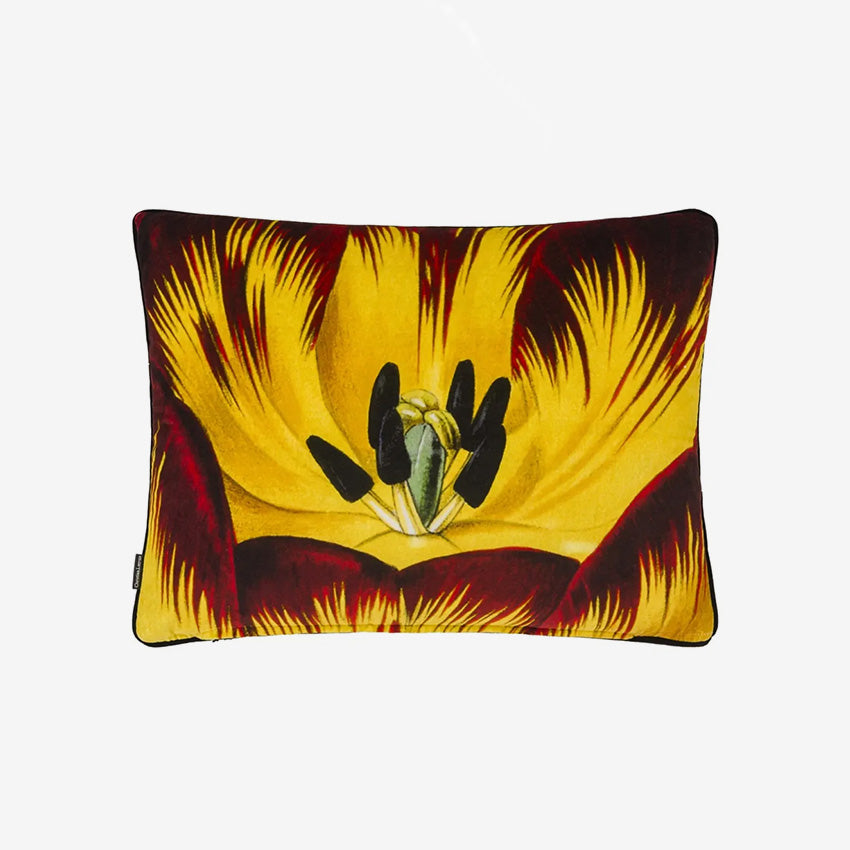 Designers Guild | Eclosion Agate Cushion -  60 x 45cm