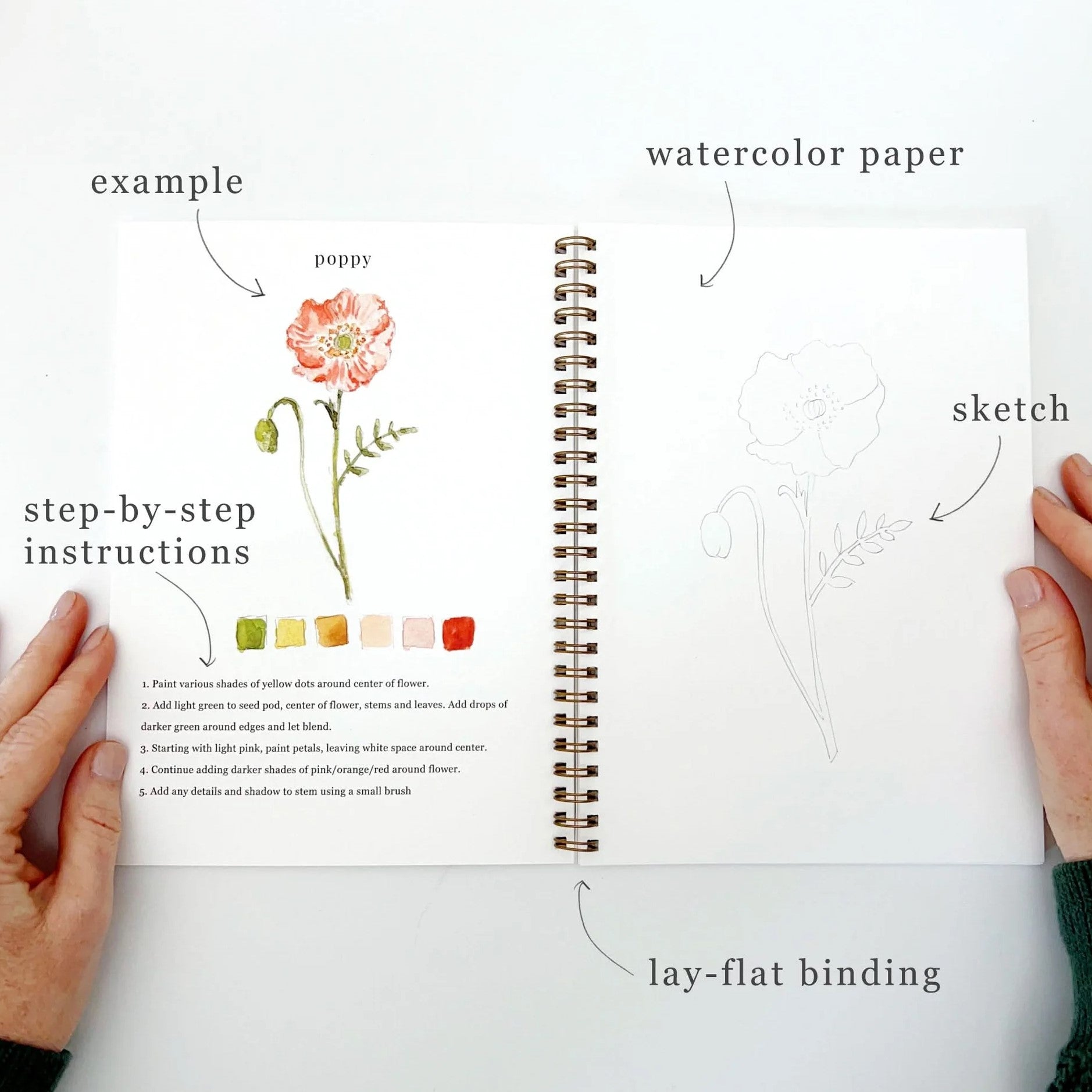 Emily Lex | Cahier d'aquarelle Fleurs