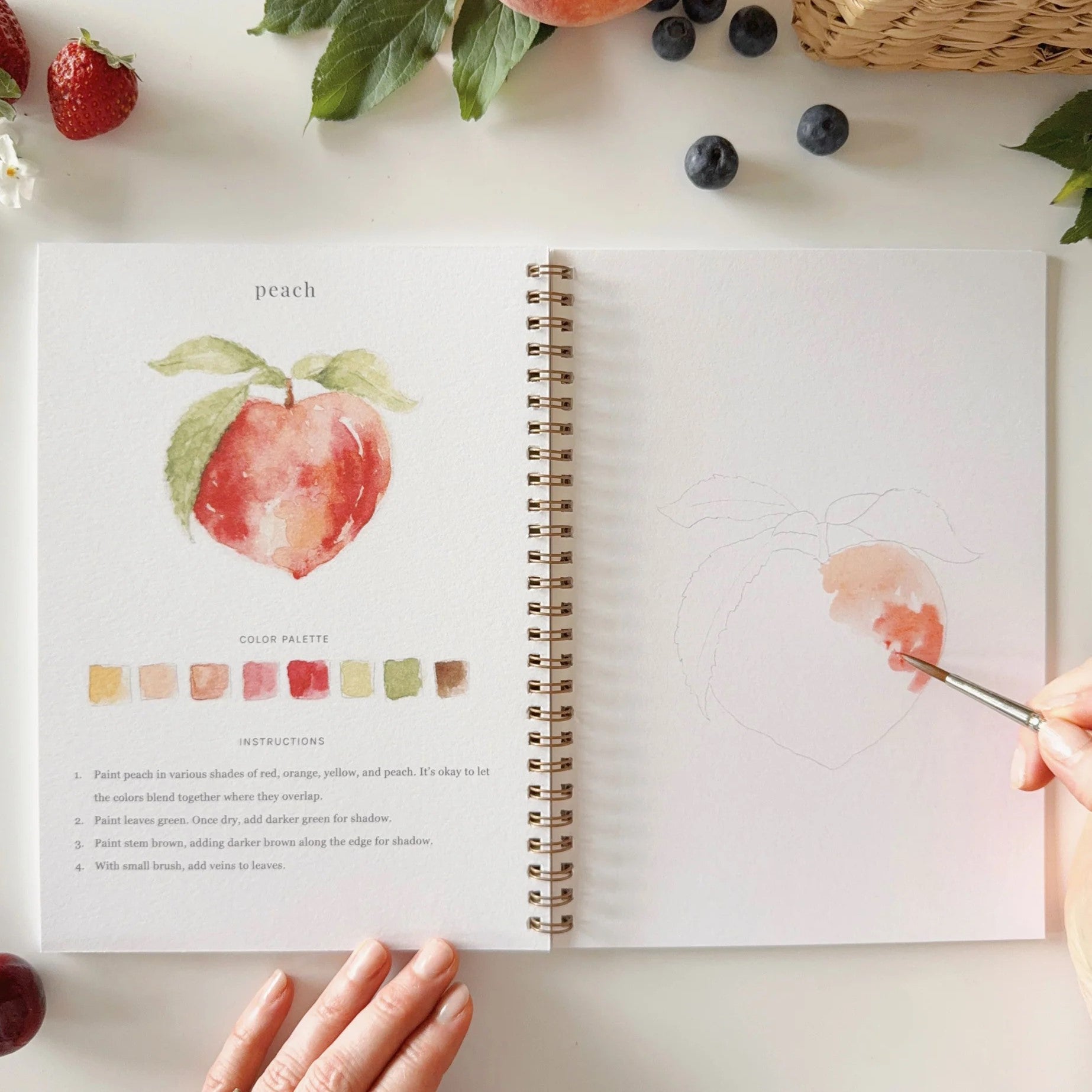 Emily Lex | Cahier d'aquarelle Fruits