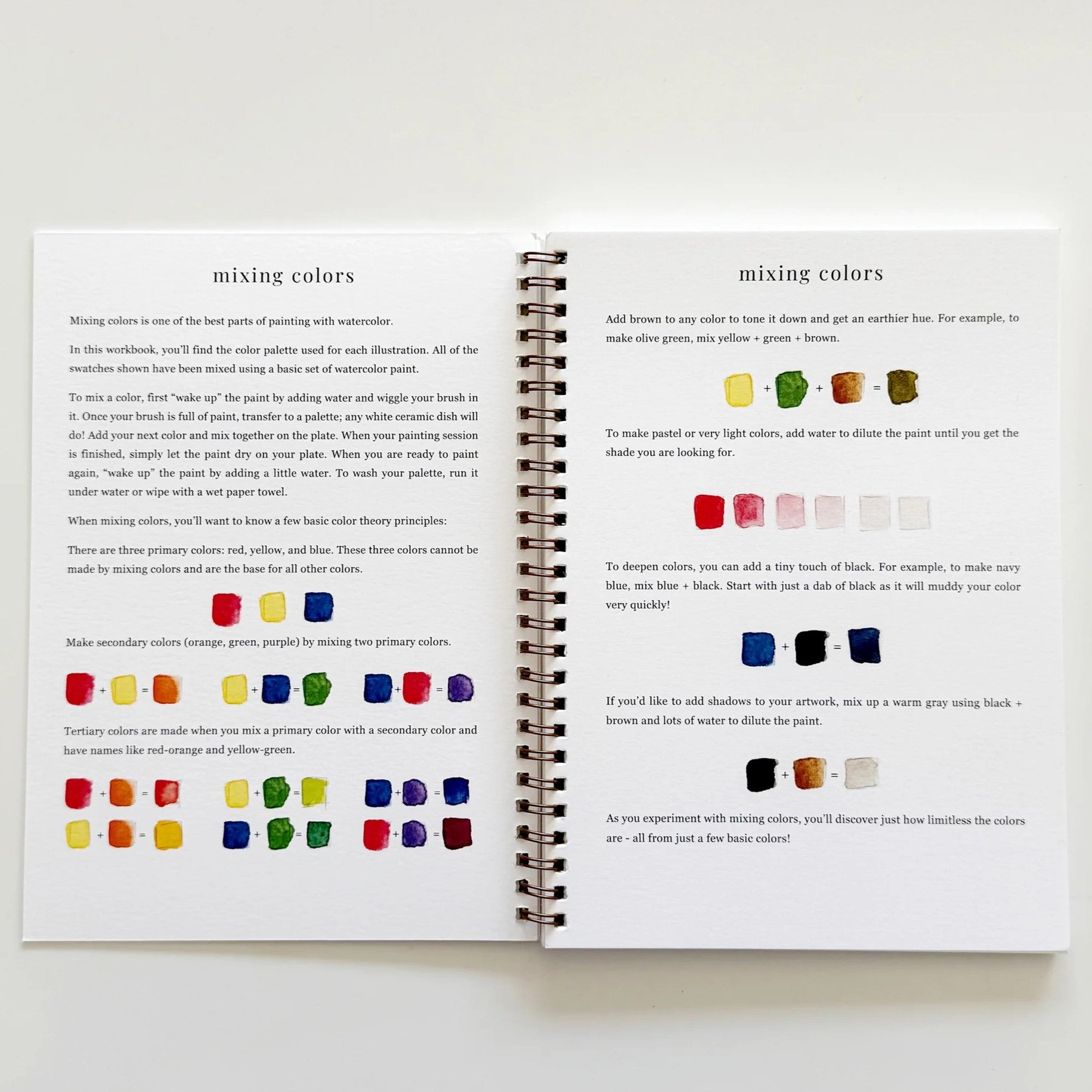 Emily Lex | Cahier d'aquarelle Fruits