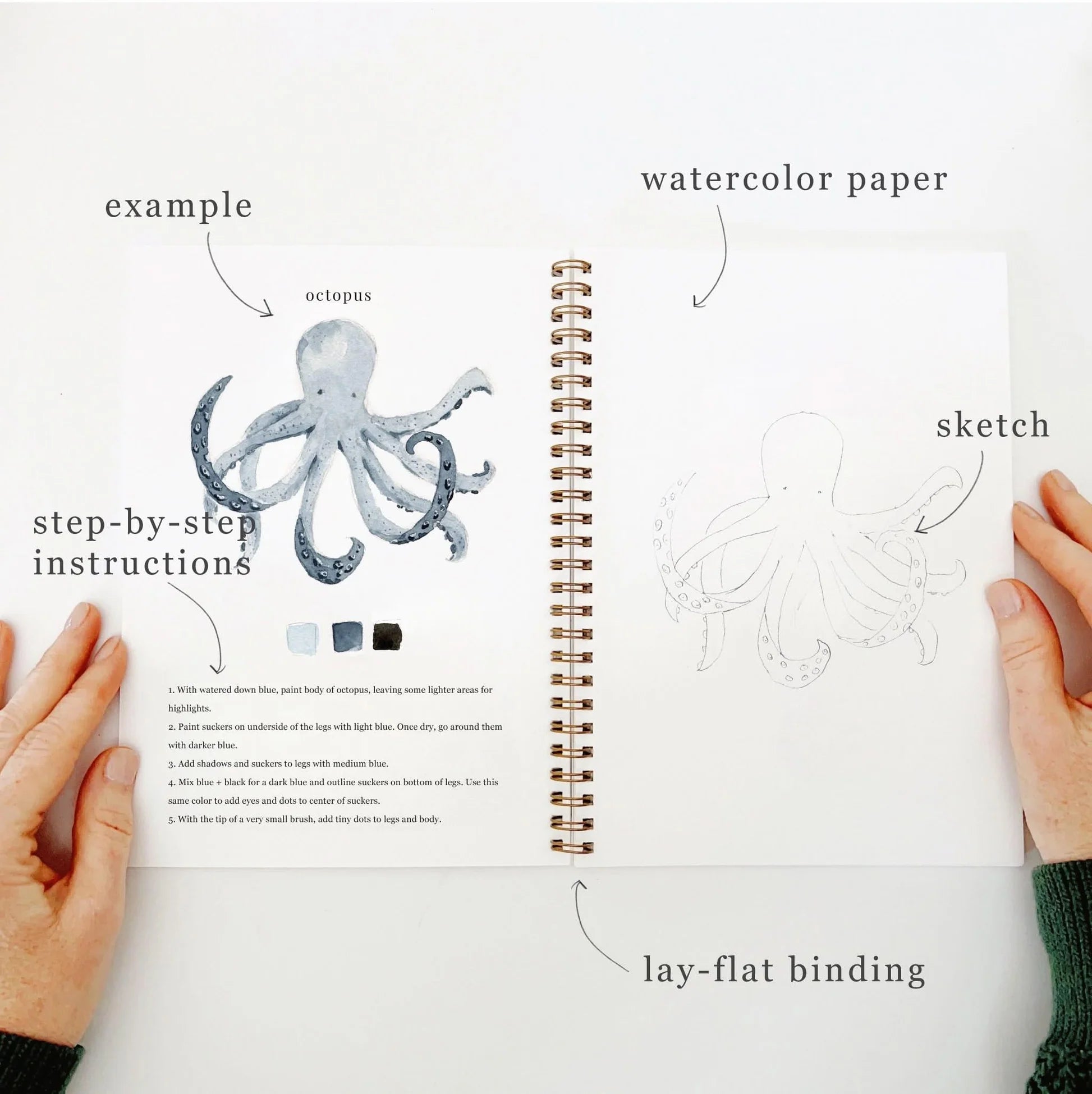 Emily Lex | Seaside Watercolour Workbook