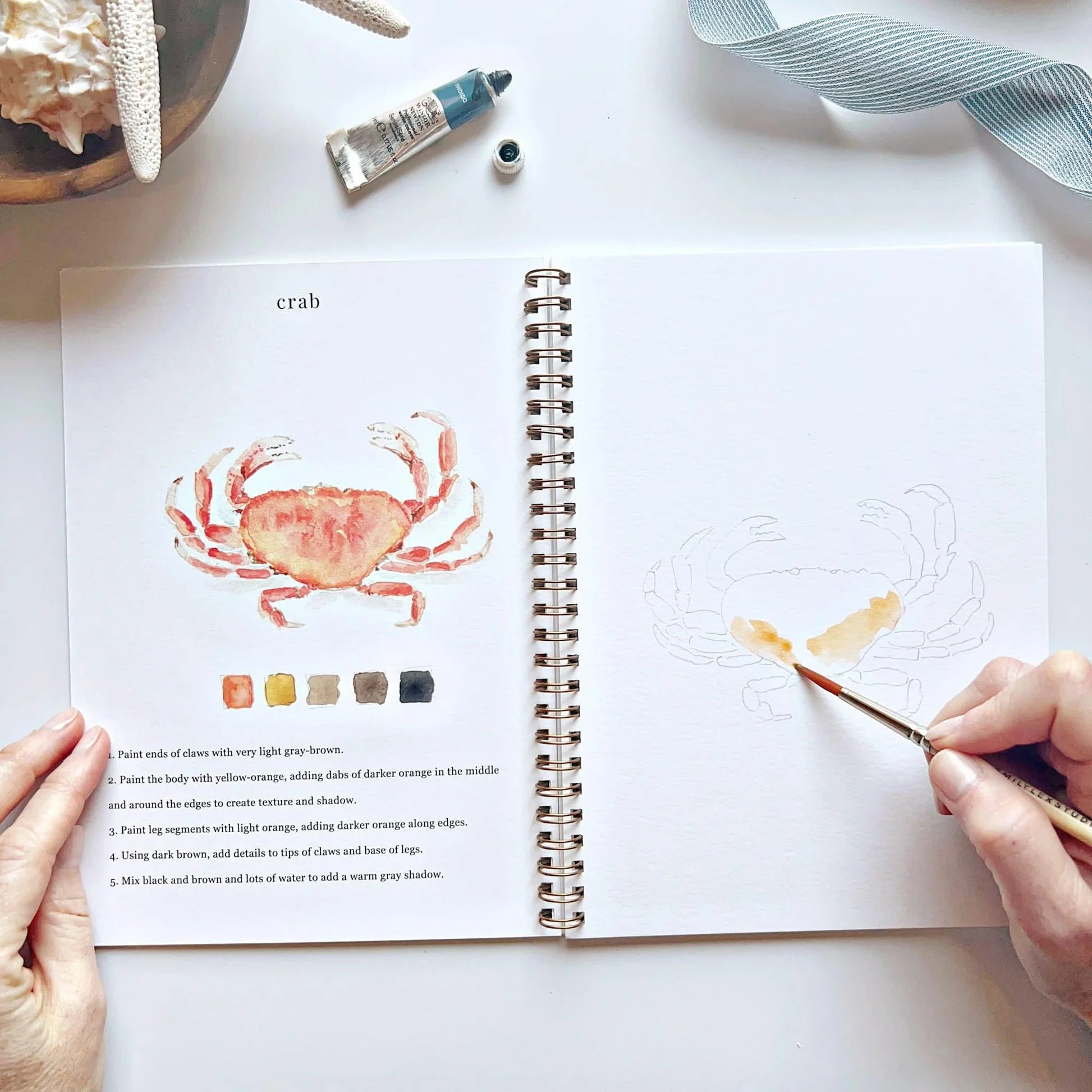 Emily Lex | Seaside Watercolour Workbook