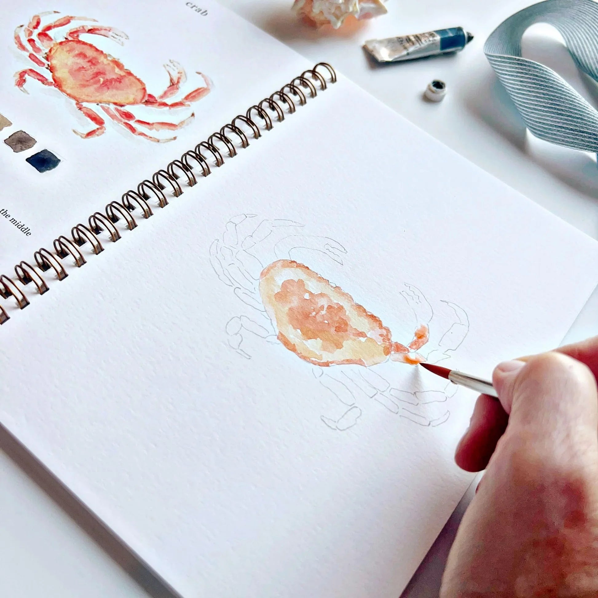 Emily Lex | Seaside Watercolour Workbook