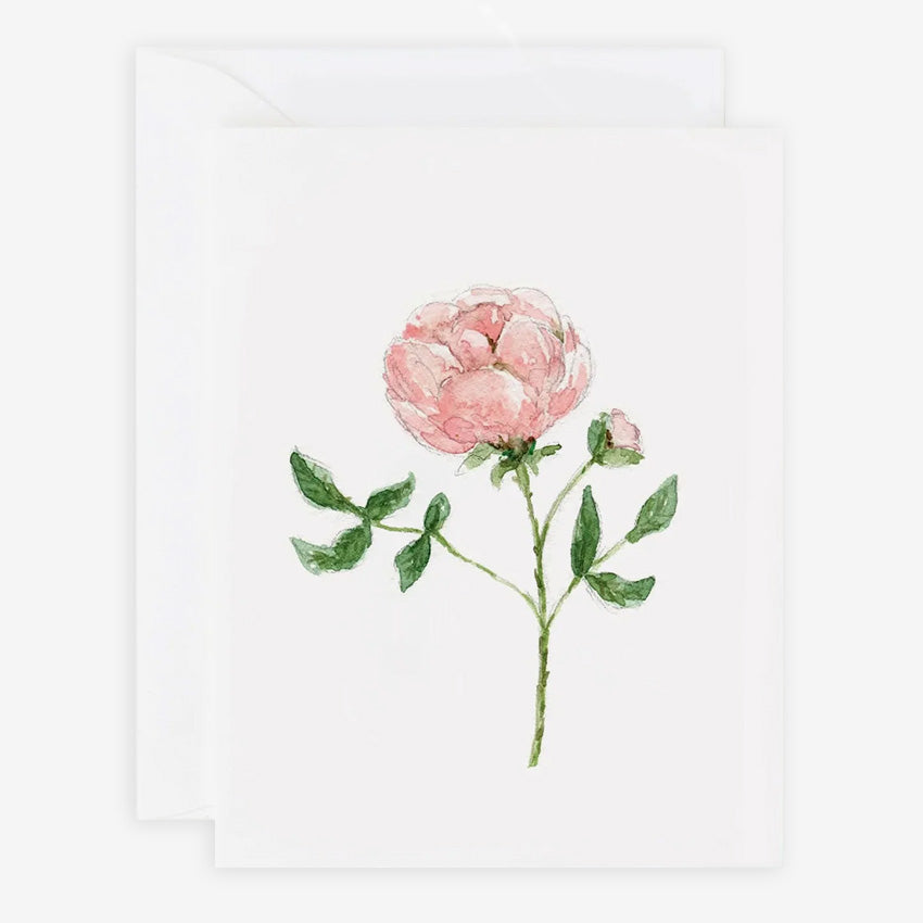 Emily Lex | Cartes de Souhaits Garden Rose - Ensemble de 8