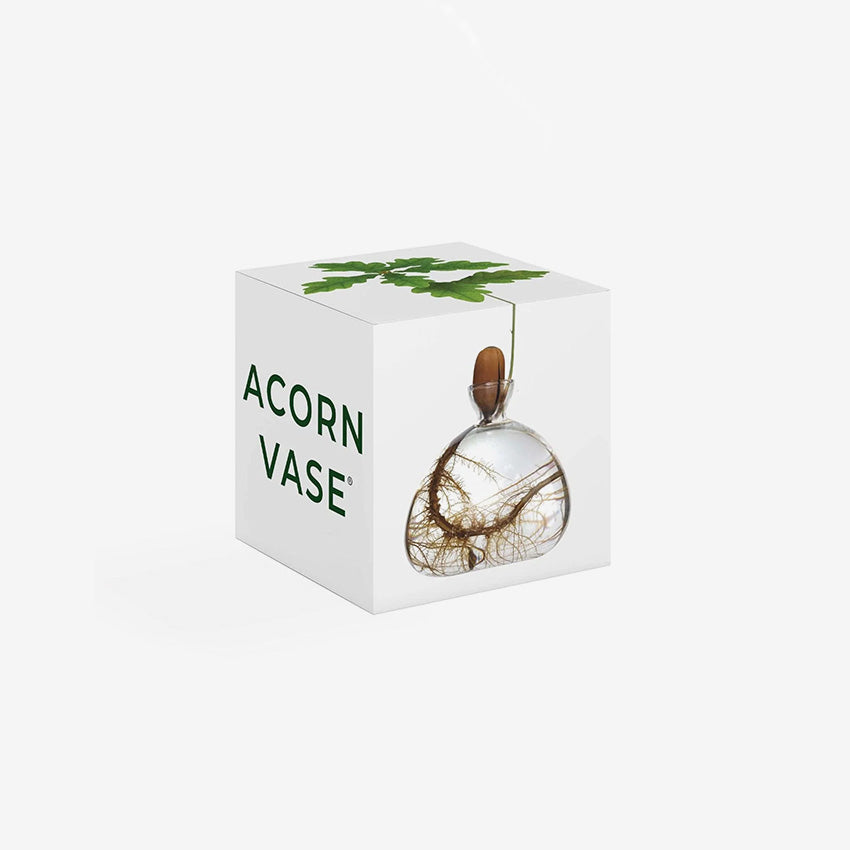 Ilex Studio | Acorn Vase