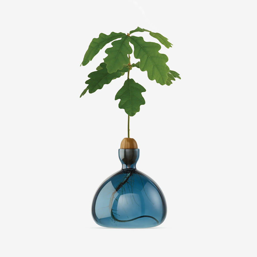 Ilex Studio | Acorn Vase