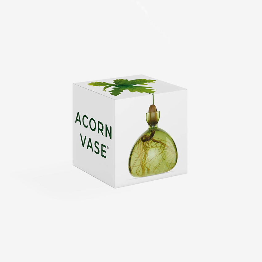 Ilex Studio | Acorn Vase