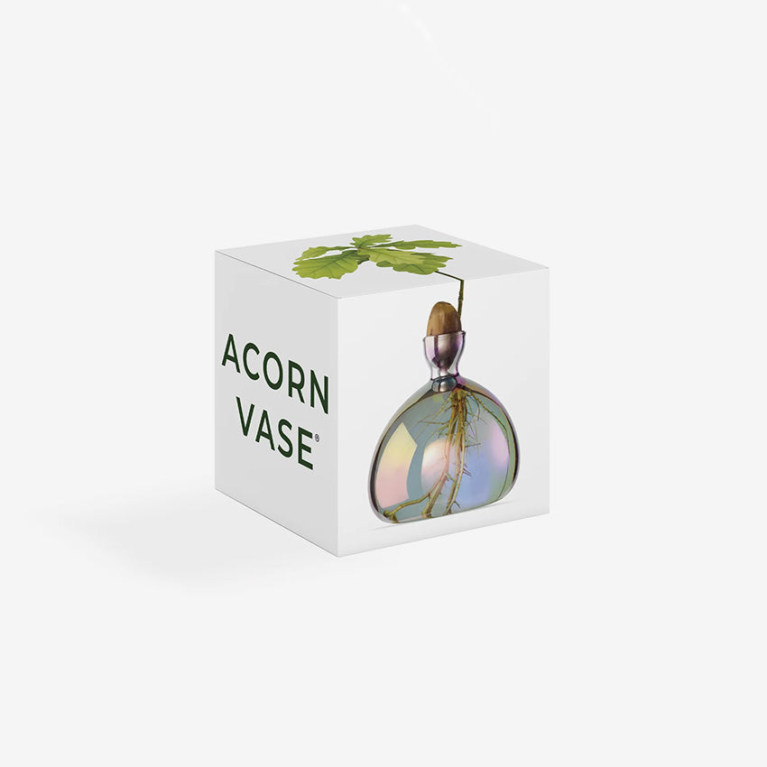 Ilex Studio | Acorn Vase