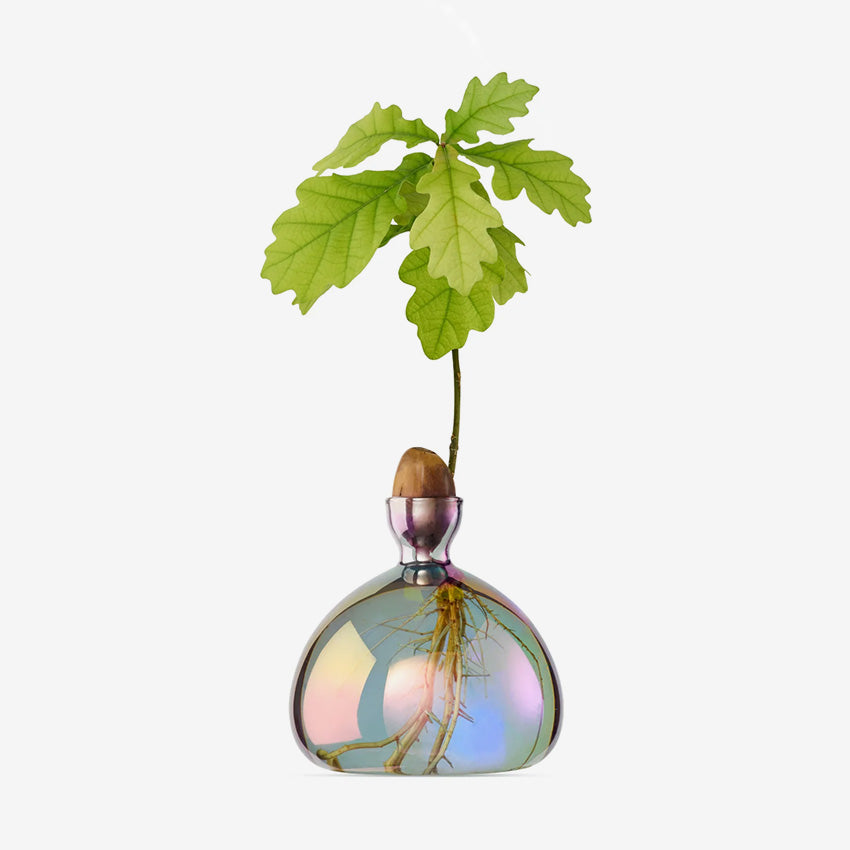Ilex Studio | Acorn Vase