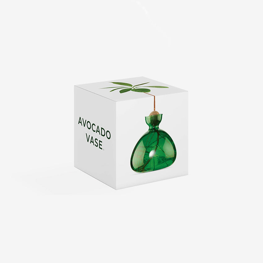 Ilex Studio | Avocado Vase