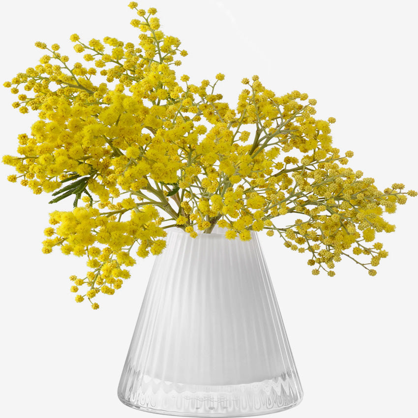 Lsa | Beacon Candleholder/Vase