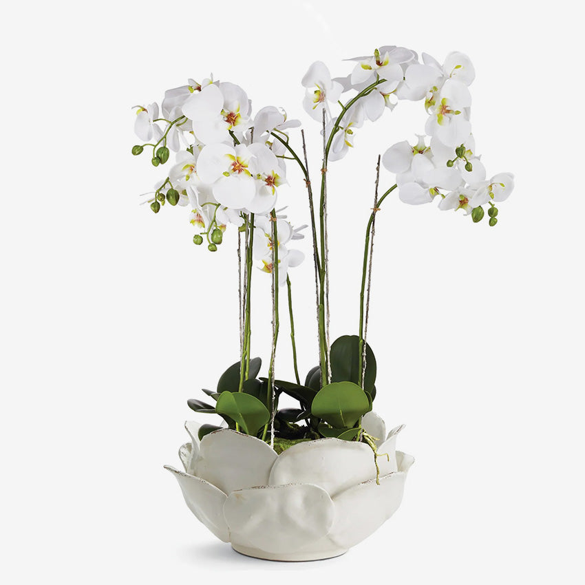 Napa Home & Garden | Di Rosa Decorative Bowl