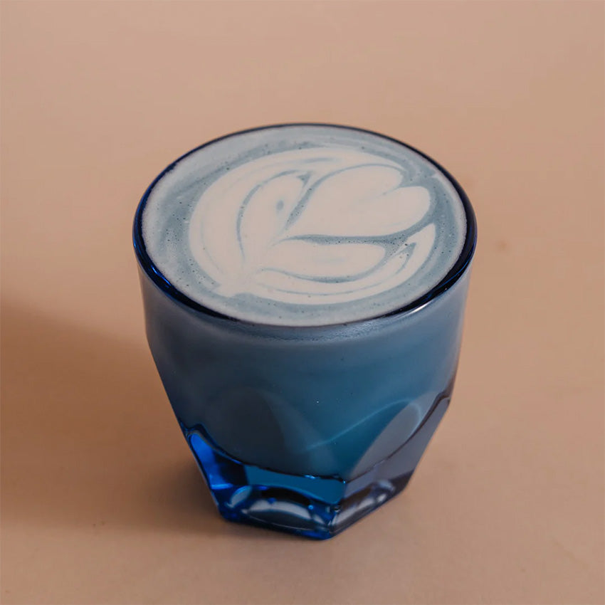 Not Neutral | Vero Cappuccino 6oz