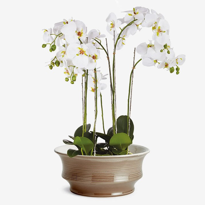 Napa Home & Garden | Tremezzo Low Bowl