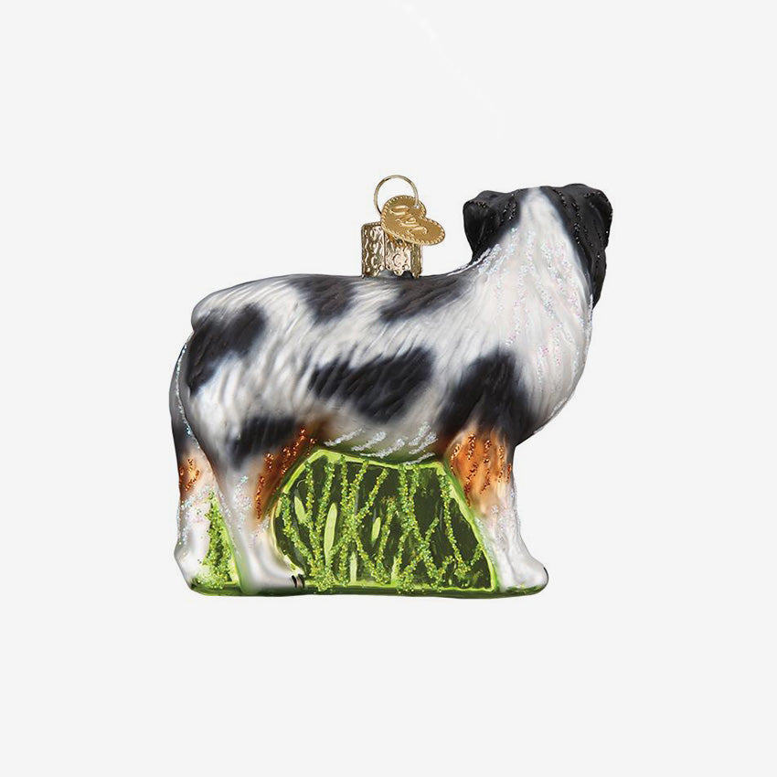 Old World Christmas | Blown Glass Ornament - Australian Shepherd