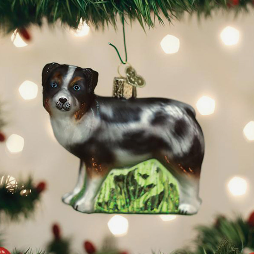 Old World Christmas | Blown Glass Ornament - Australian Shepherd