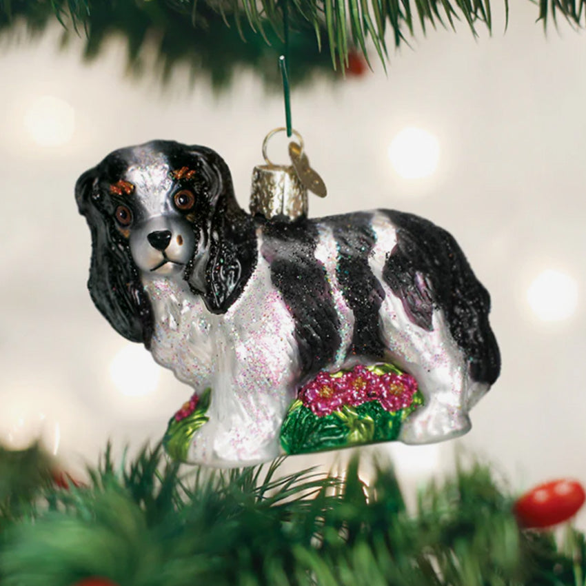 Old World Christmas | Blown Glass Ornament - Black/White King Charles Spani