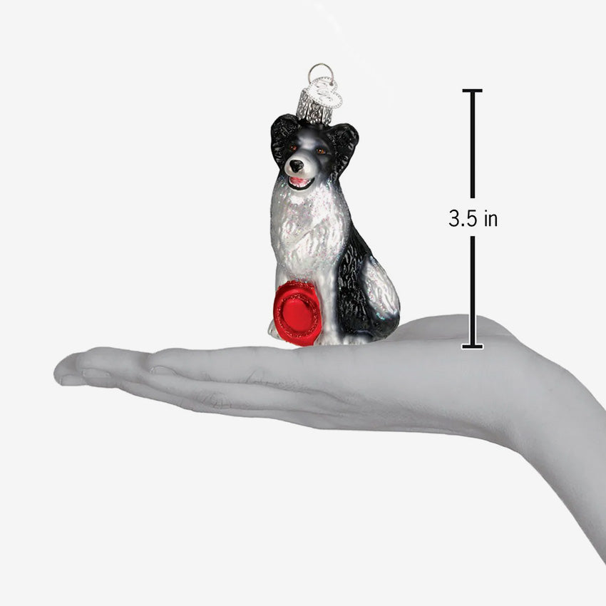 Old World Christmas | Blown Glass Ornament - Border Collie