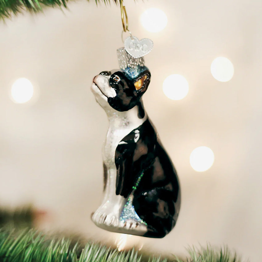 Old World Christmas | Ornement en verre soufflé - Boston Terrier