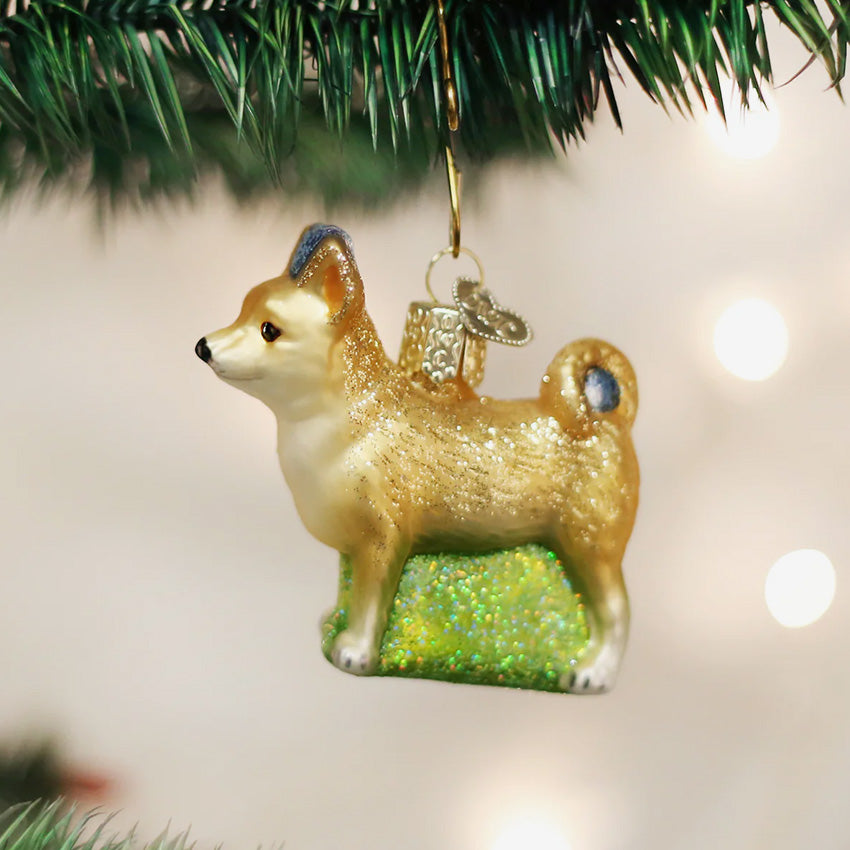 Old World Christmas | Ornement en verre soufflé - Chihuahua