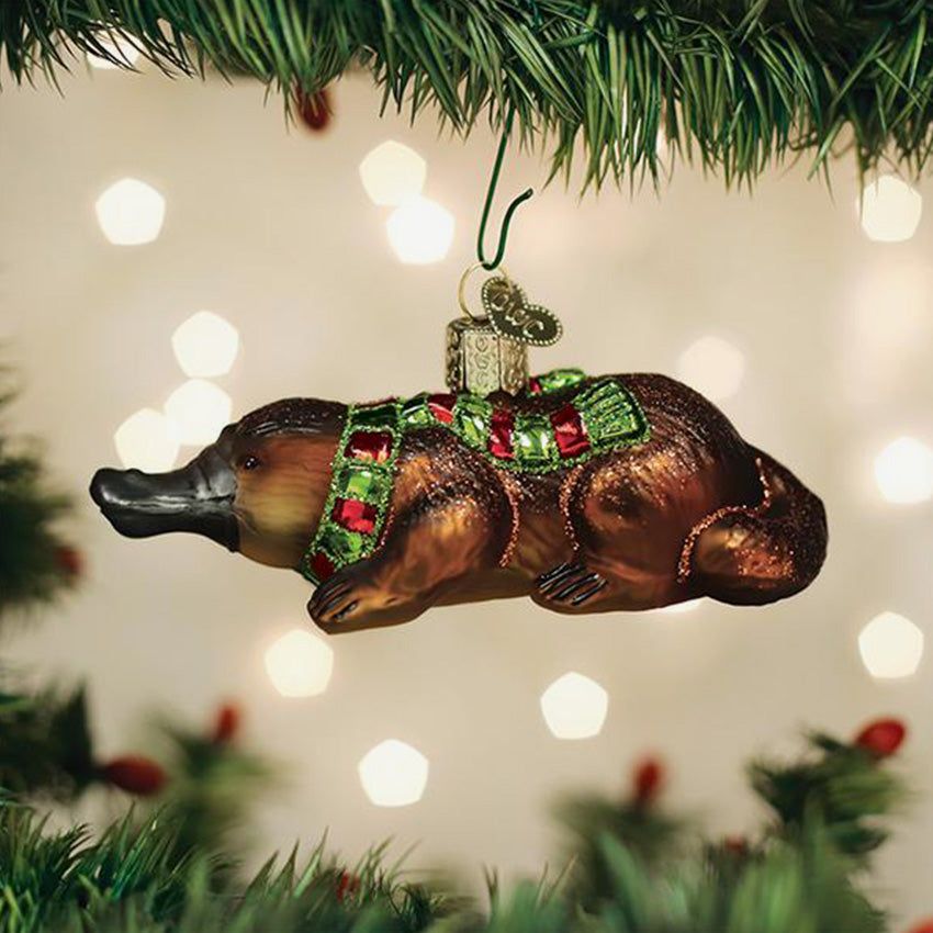 Old World Christmas | Blown Glass Ornament - Platypus