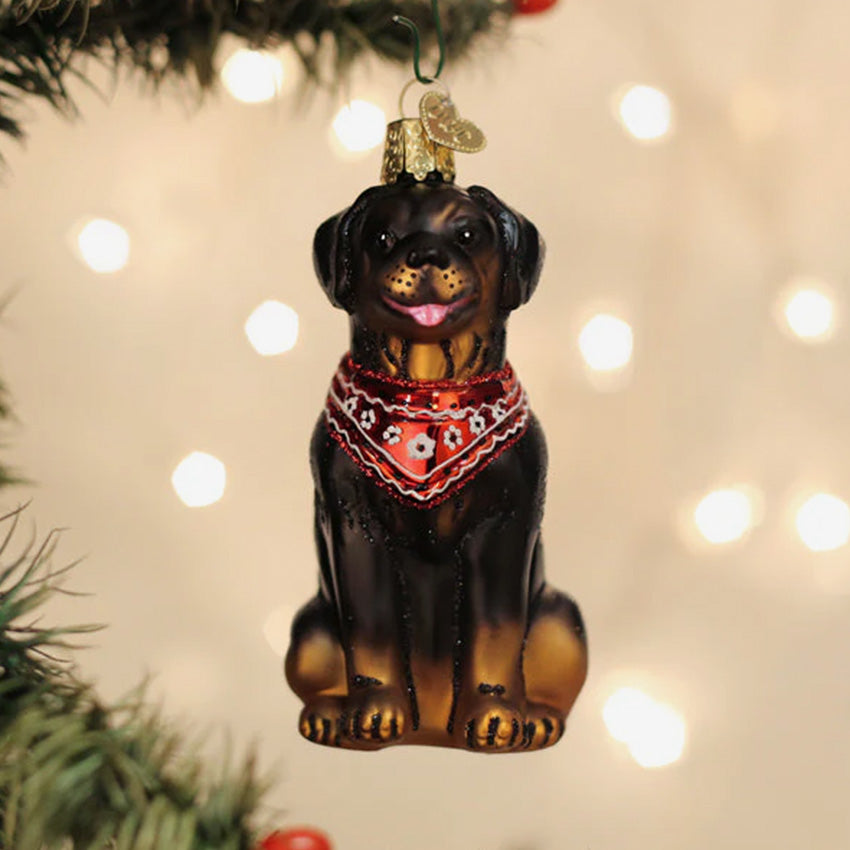 Old World Christmas | Blown Glass Ornament - Rottweiler