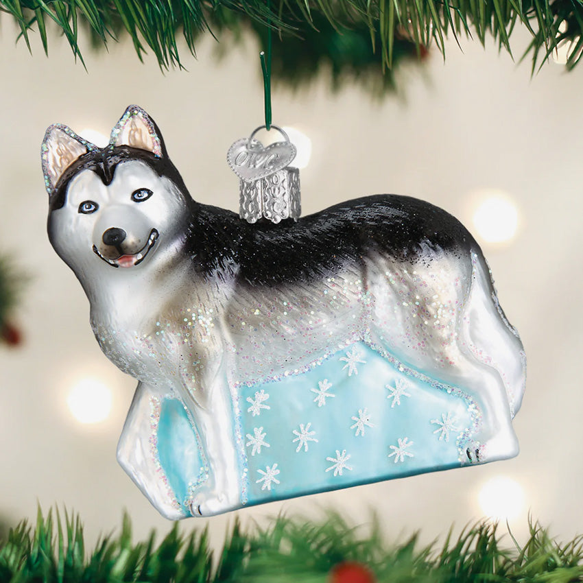 Old World Christmas | Blown Glass Ornament - Siberian Husky