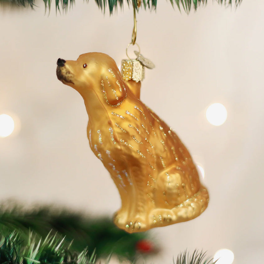 Old World Christmas | Ornement en verre soufflé -  Golden Retriever assis