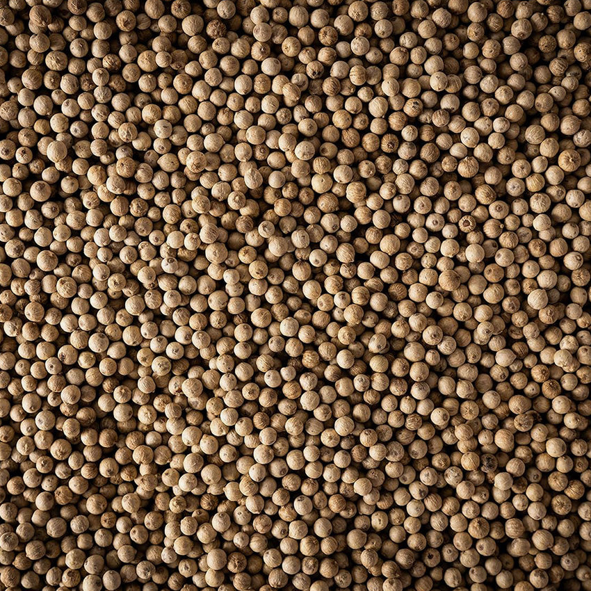 Peugeot | Madagascar White Pepper - 60g