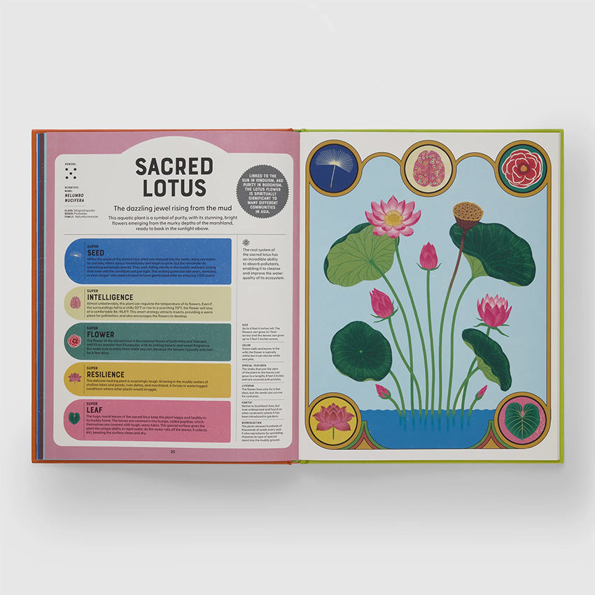 Phaidon | Superpowered Plants : Meet the Smartest, Strongest, and Sneakiest Plants