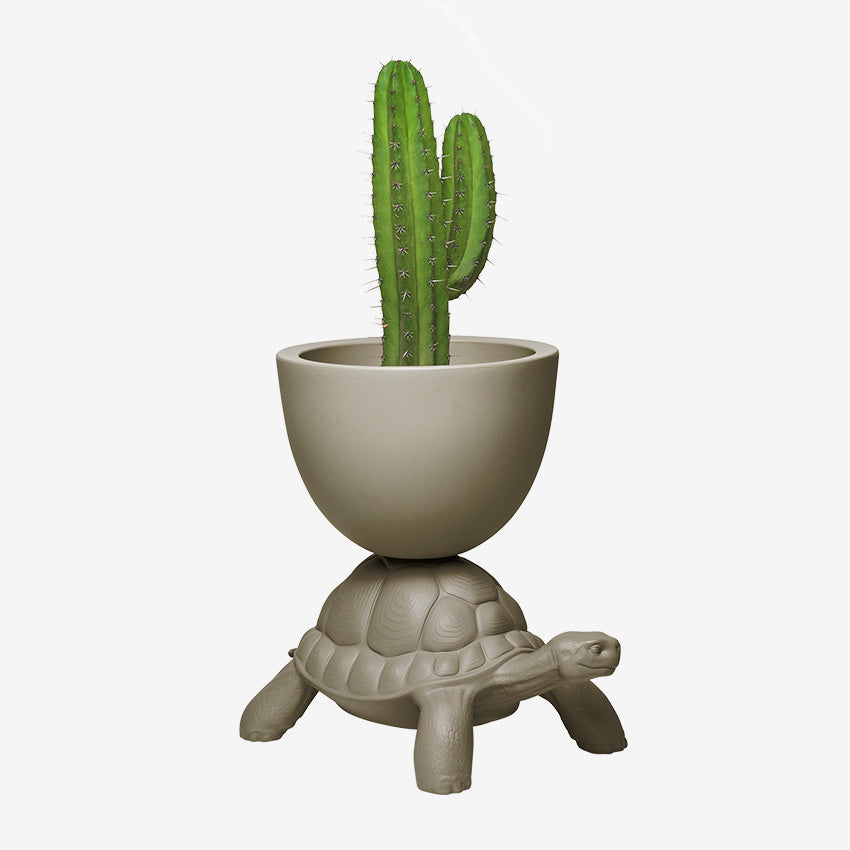 Qeeboo | Pot de fleurs et seau à champagne Turtle Carry