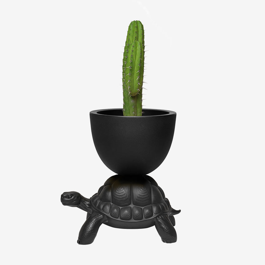 Qeeboo | Pot de fleurs et seau à champagne Turtle Carry