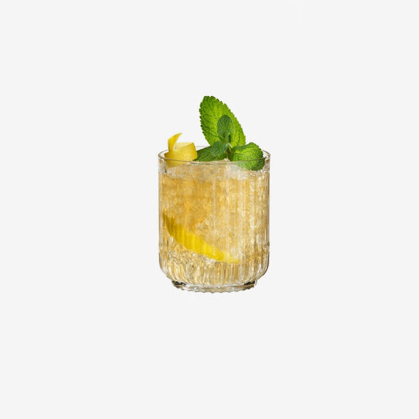 Riedel | Bar Rituals Double Rocks - Set of 2