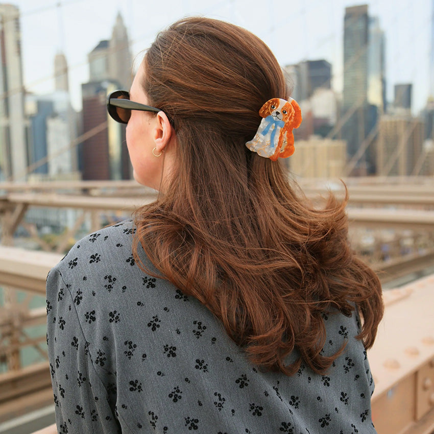 Solar Eclipse | Hand-Painted King Charles Claw Hair Clip