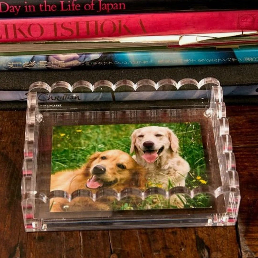 Tara Wilson Designs | Acrylic Scallop Tray - Clear