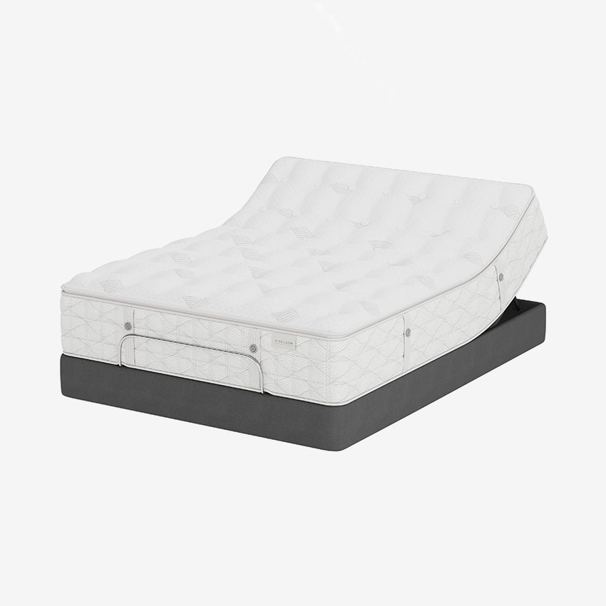 Aireloom | Preferred Collection - Luxetop - M2+ Plush Mattress
